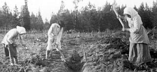 Peasants in Finland